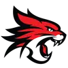 珀斯野猫